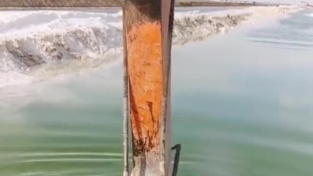 Check This Salt
