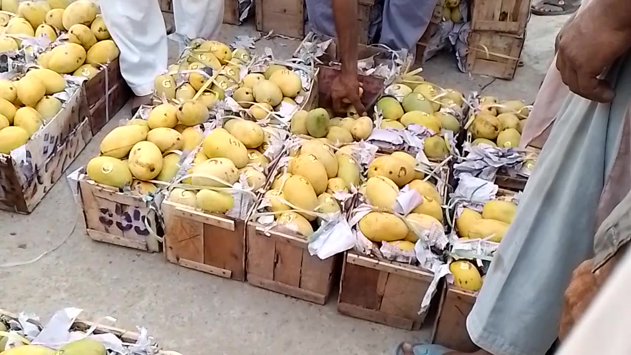 Mango sell..