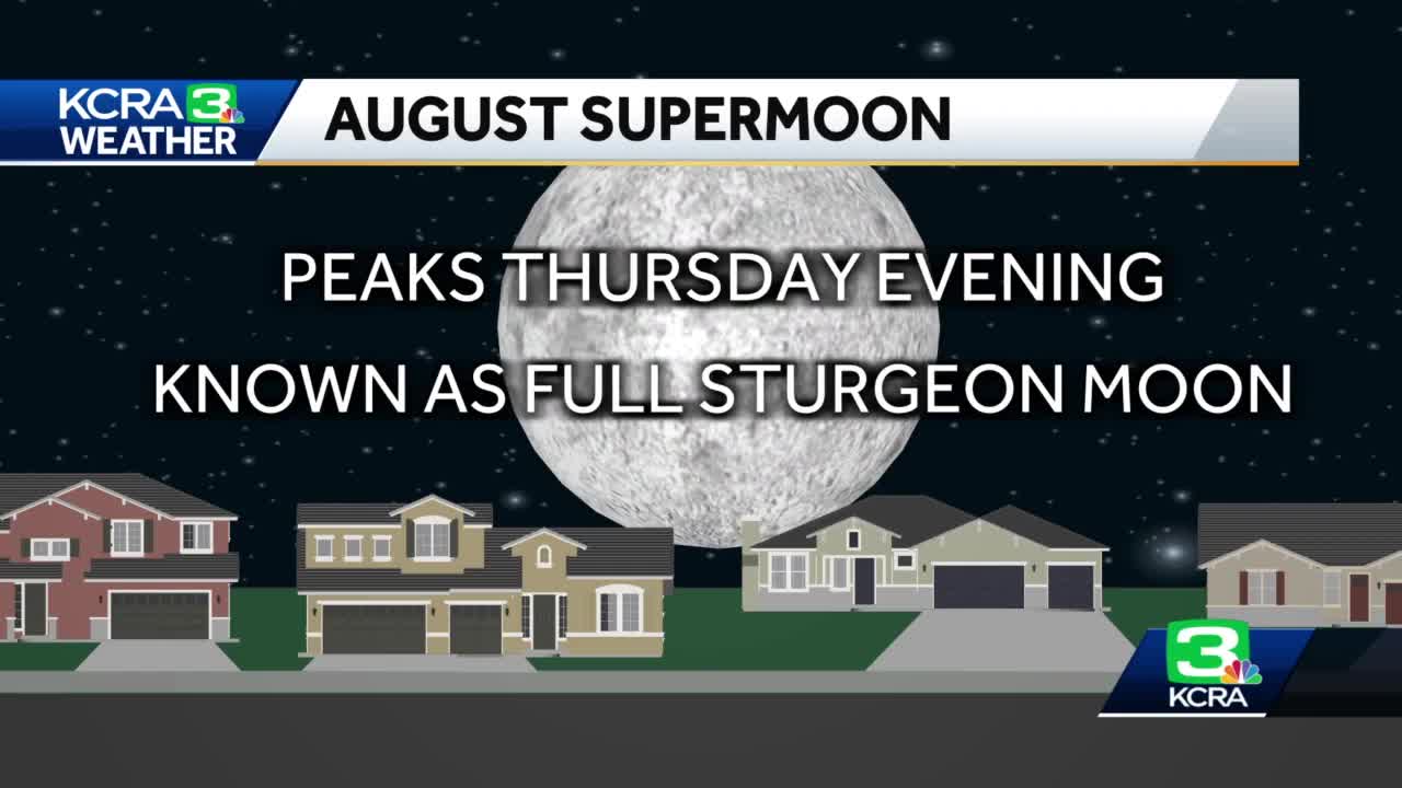 Here’s when your best chances are to catch the Perseids meteor shower in Northern California