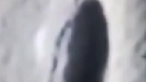 Ufo sulla Luna