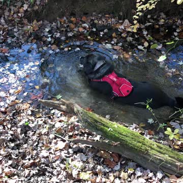 Look what I’m doing, Dad!