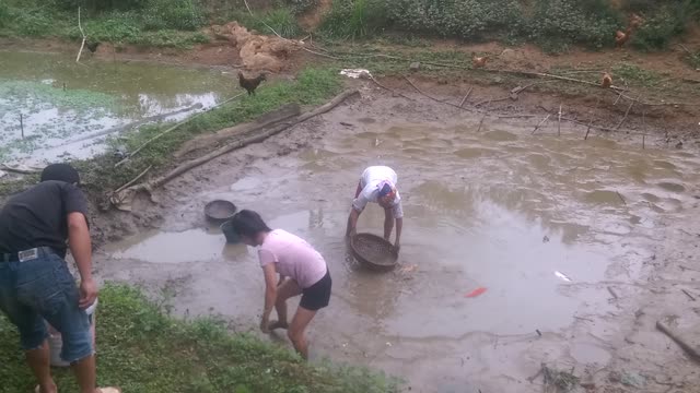 Girls catch fish