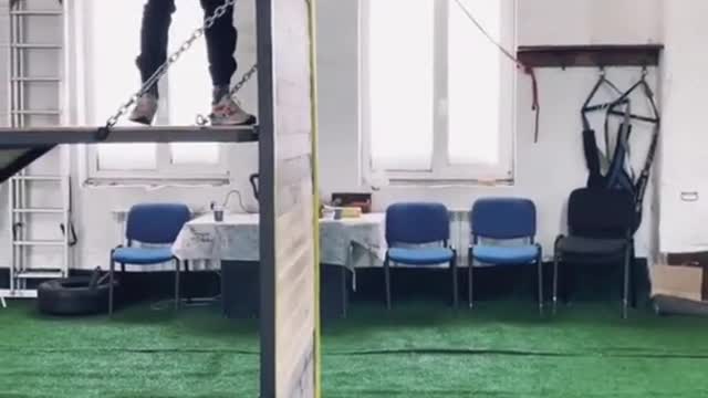Dog training video