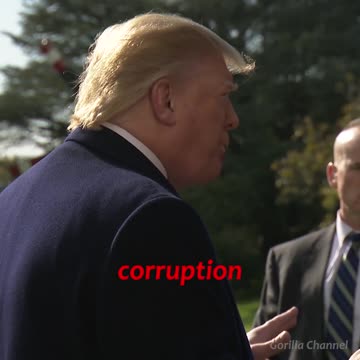 I caught the swamp. I caught them all.