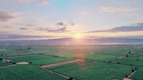 Mountain greenery beautiful sunrise