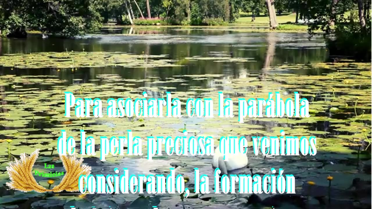 Capítulo 32 - Las parábolas de la realidad del reino de los cielos (4/4)