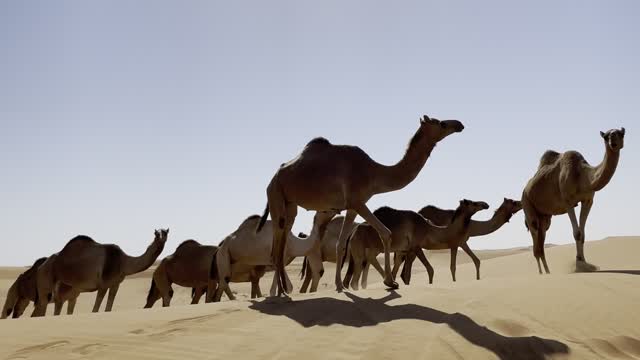 Deserto incrível em Dubaï