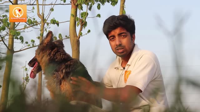 jermeny video