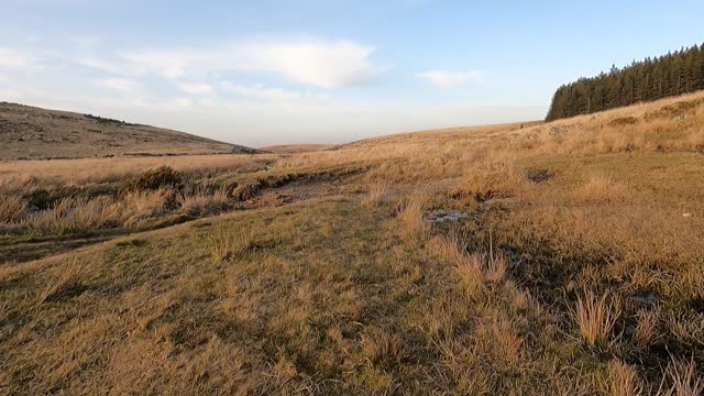 Hiking to Fernworthy forest. Dartmoor. GoPro on chest mount.