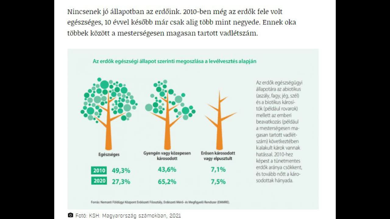 A magyar erdőket is elpusztítja a geoengineering