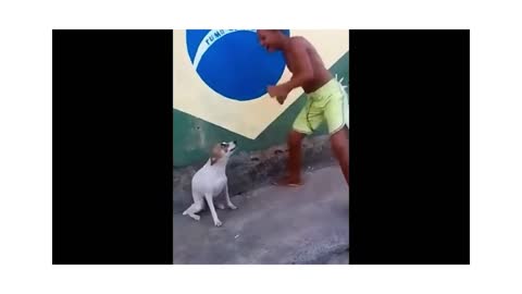 just look at how this dog dances