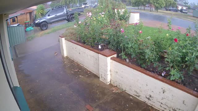 Microburst Storm Whips Through Neighborhood