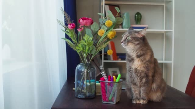 Cat sitting on table with flowers in living room