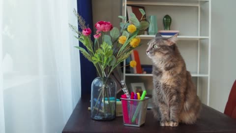 Cat sitting on table with flowers in living room