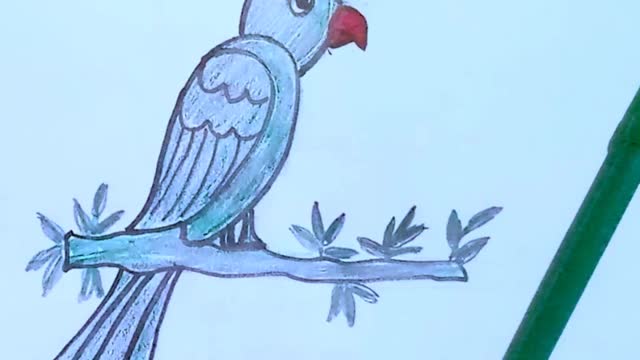 How to draw birds easily