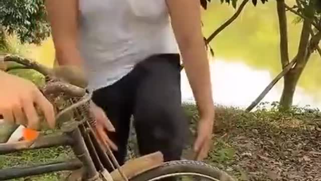 funny videos