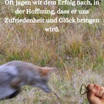 Erfolg ist nicht der Schlüssel zum Glück.