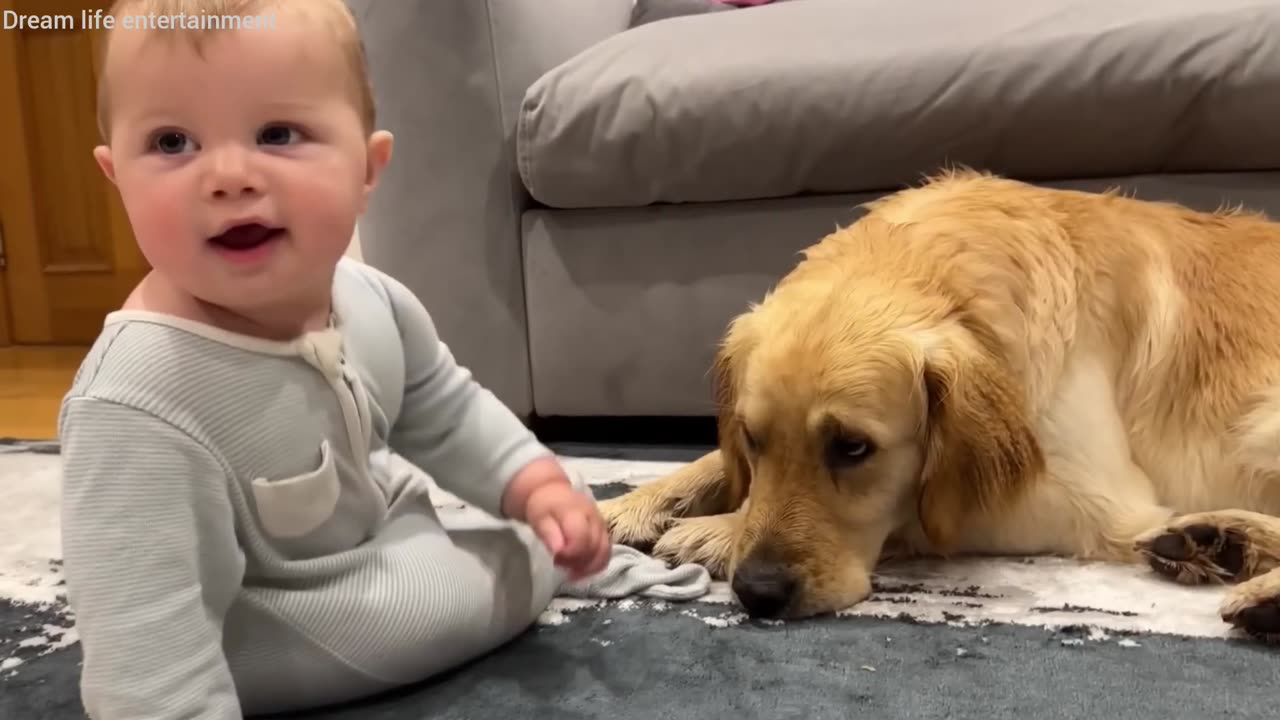 Play between 🐶 & baby