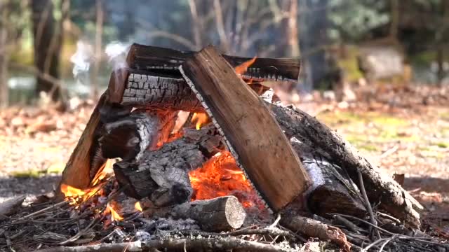 Daytime campfire ambiance | 4 Hours of fire and nature sounds to relax and unwind