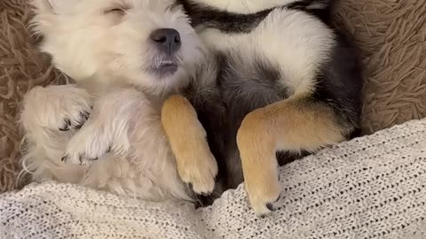 There are two of us now
