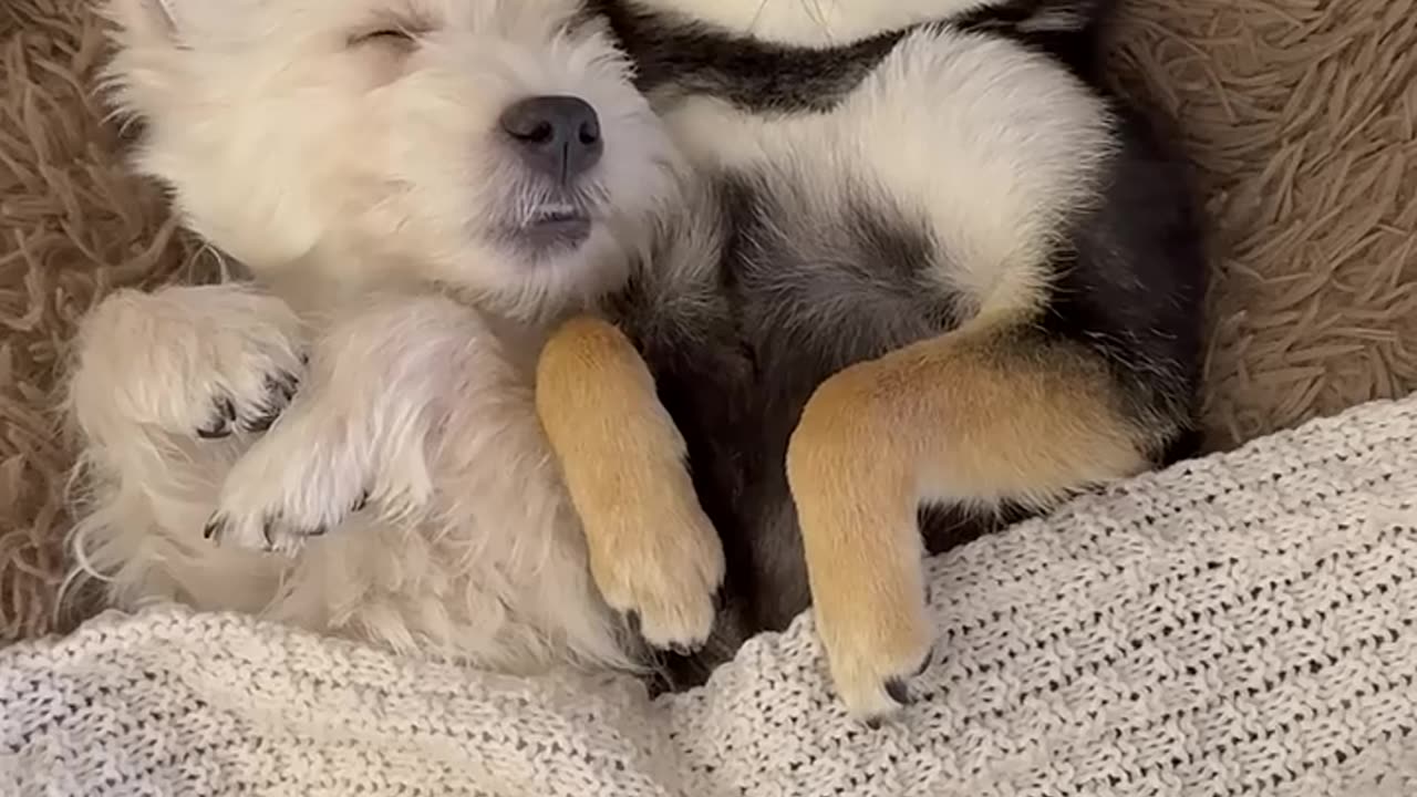 There are two of us now