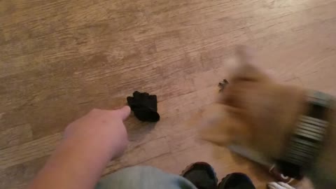 Training King (pick it up)