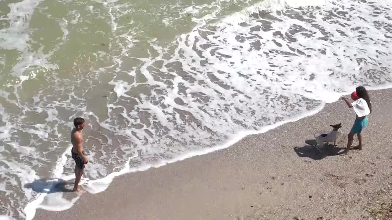 A copal playing with their dog on the beach