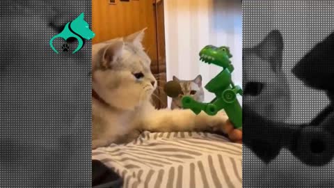 Cat and dinosaur