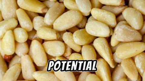 Pine Nuts: Nature's Tiny Treats