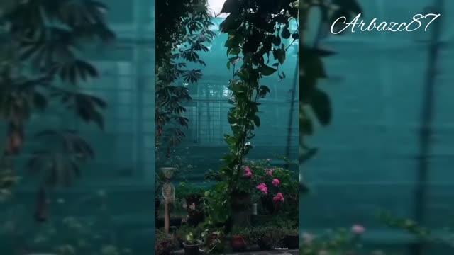 Whatsapp status new //song whatsapp status