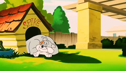 Funny Tom and Jerry cartoon videos, cartoon funny Video, kid's cartoon funny Video,