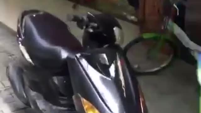 Man on black motorcycle drives through store window