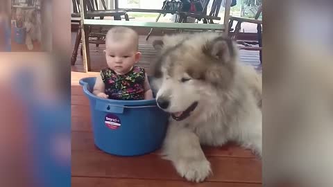 Children and dogs growing up together