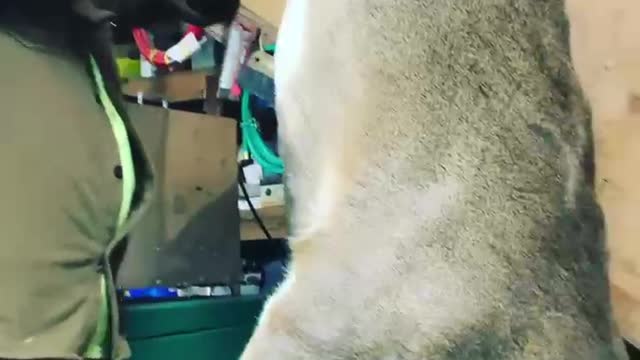 Using a Buck as a Beer Funnel