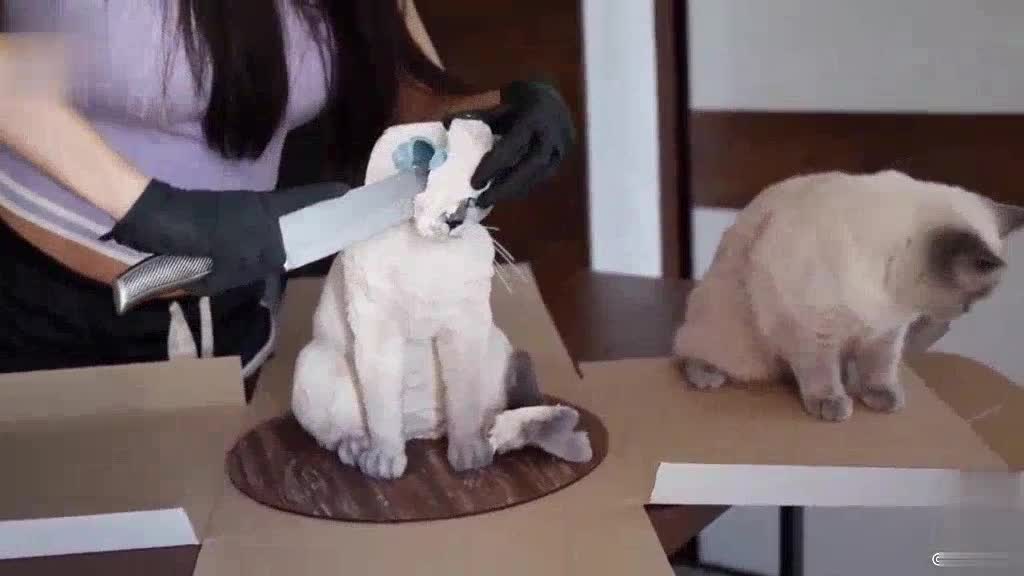 A cat-like cake