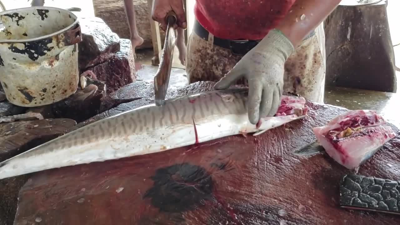 Perfect Seer Fish Slicing | Amazing fish Cutting