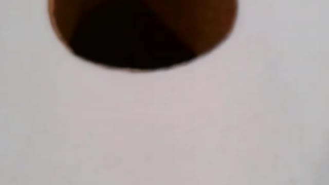 Can you do this with your toilet paper?!