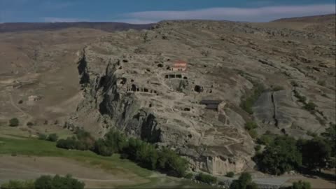 Hidden Old World Senses?