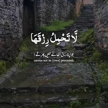 Heart touching quran recitation (beautiful voice)