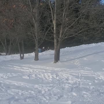 Home tobogganing
