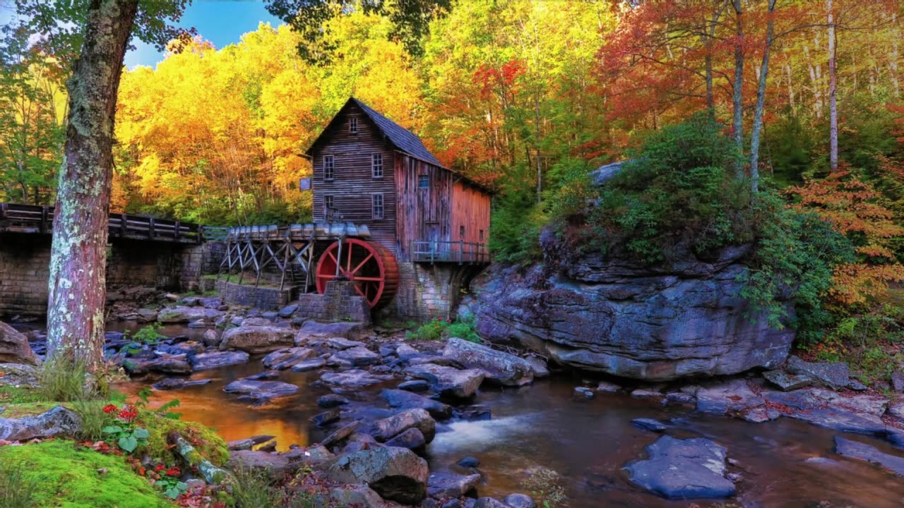 Study and relax to the sound of nature