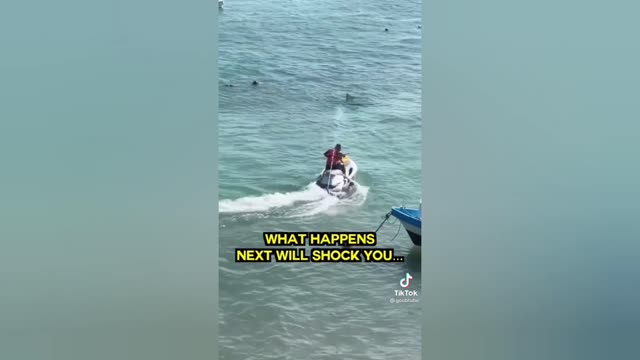 Shark Scare