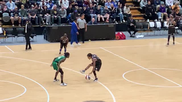 Best Handles In The World
