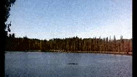 Lensin pois - Indy Angel