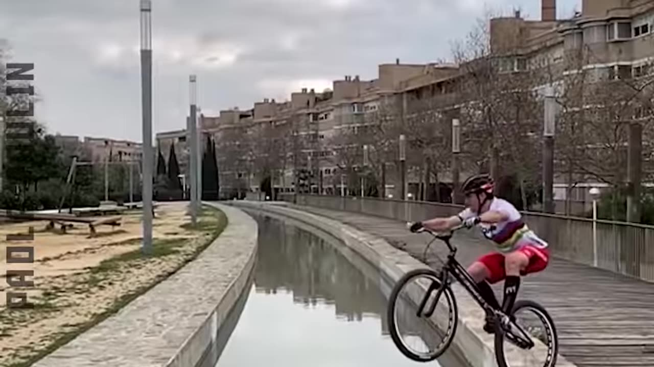 Perfectly Executed