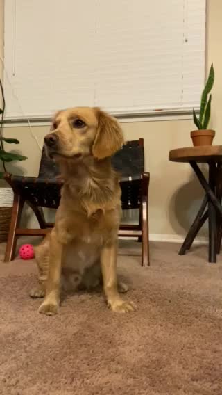 Where’s the TREAT?!?!