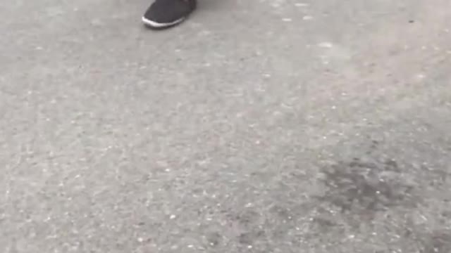 ๐ถ๐ถ๐๐Super cute puppy! Just run~~~
