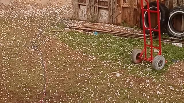 Massive Hail Falls in Roscoe Texas