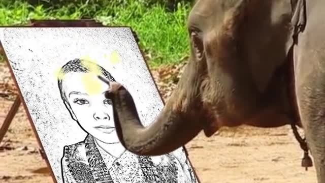 Funny intertwine video