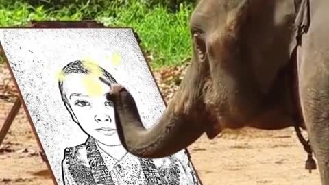 Funny intertwine video